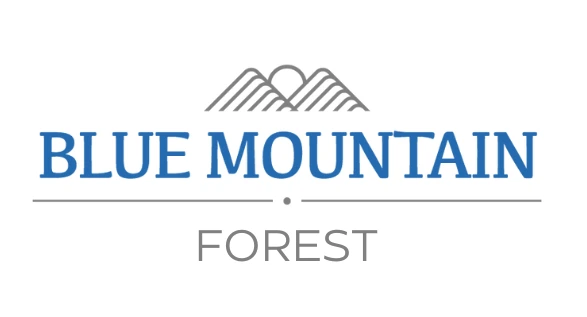 Blue Mountain Forest